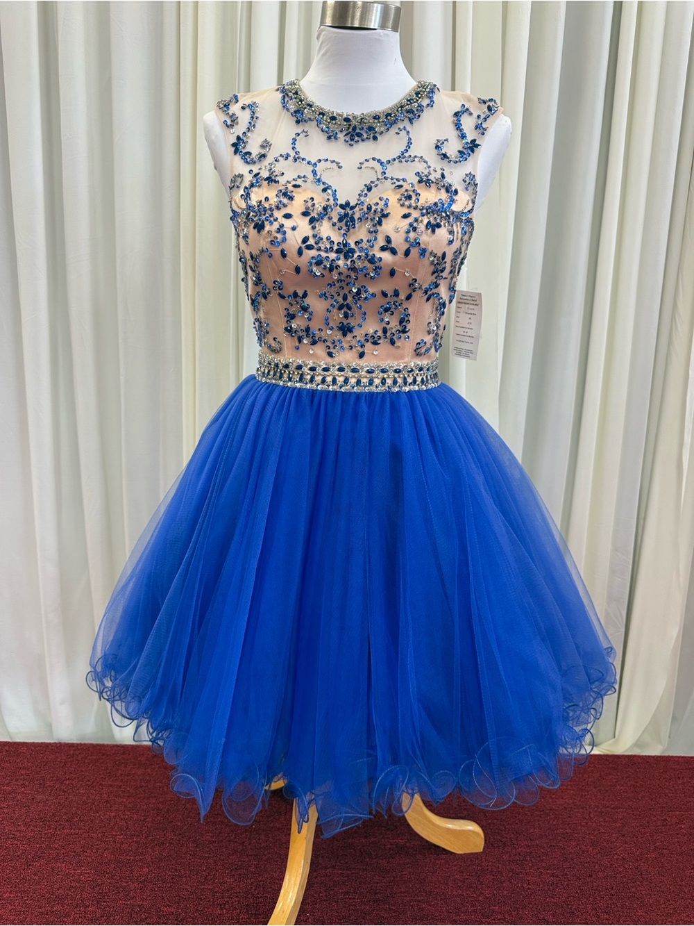 Nude/Tanzanite Blue Tulle Dress with Embellished Bodice